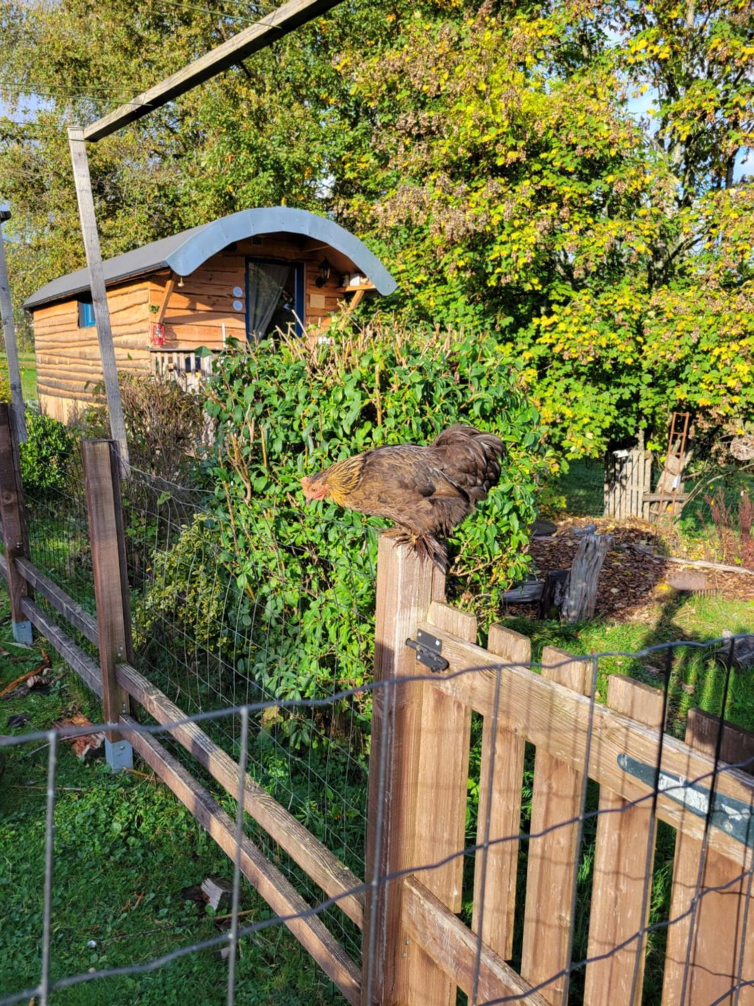 La Roulotte Tiny House Du Mond'Ideal Leval  部屋 写真