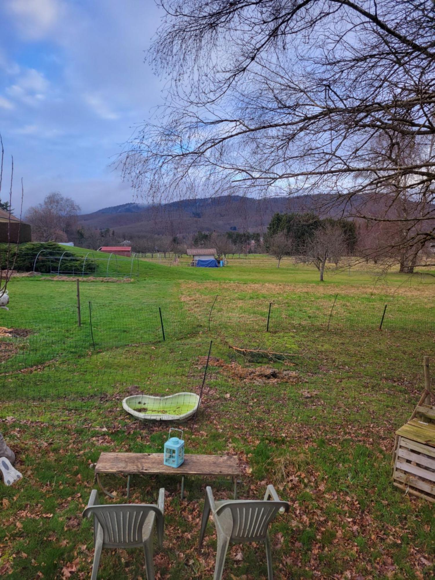La Roulotte Tiny House Du Mond'Ideal Leval  部屋 写真
