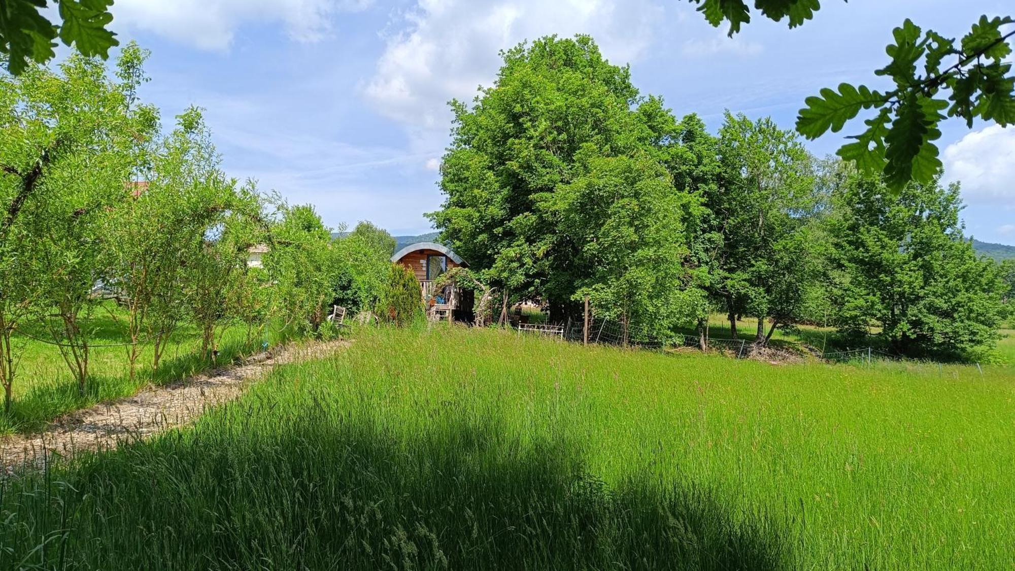 La Roulotte Tiny House Du Mond'Ideal Leval  エクステリア 写真
